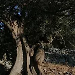 דירה Bella Mare *