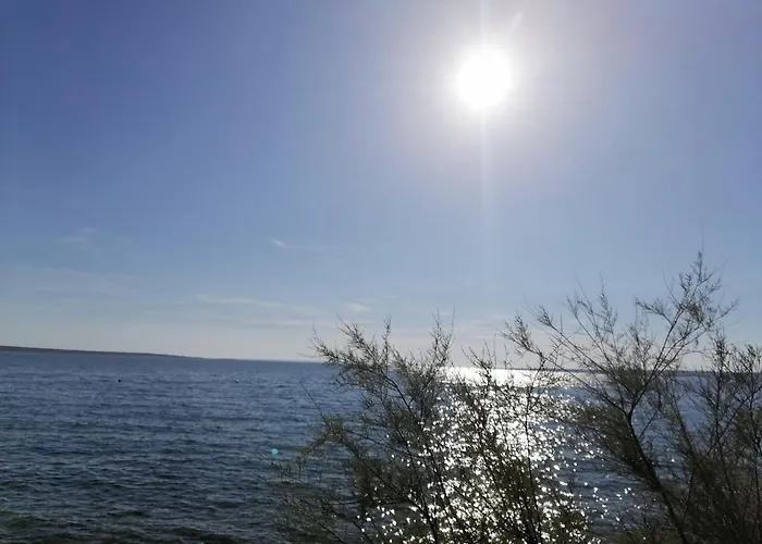 Bella Mare *