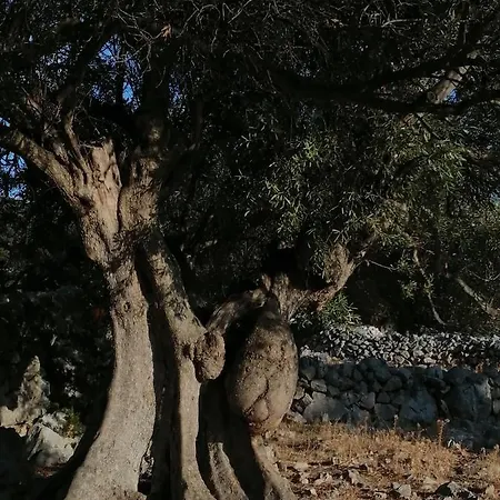 Apartment Bella Mare *